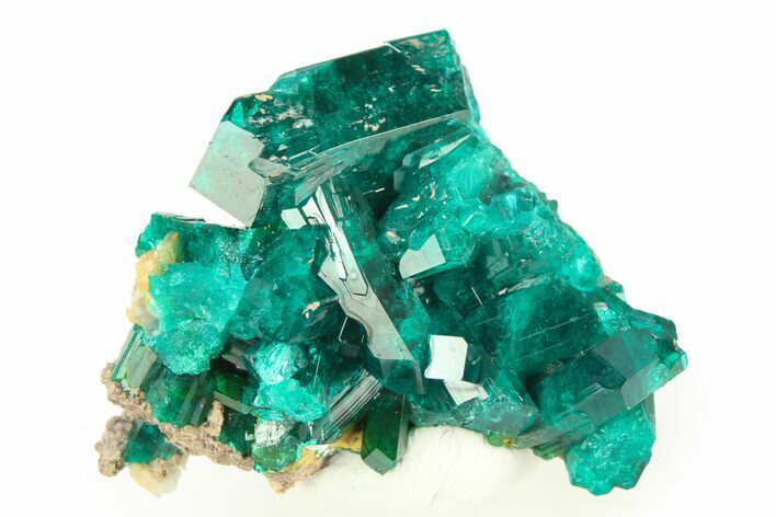 Gemmy Dioptase Crystal Cluster - Republic of the Congo #312419